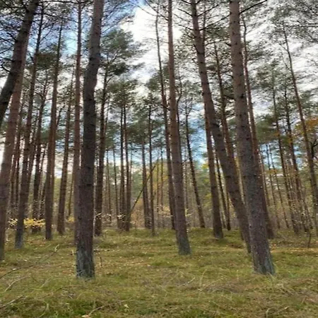 Prázdninový dům Insel-bungalow Auf Poel, Cleaning Included Insel Poel